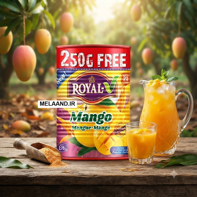 پودر شربت انبه رویال مدل Mango وزن 2.75 کیلوگرم با 250 گرم هدیه
