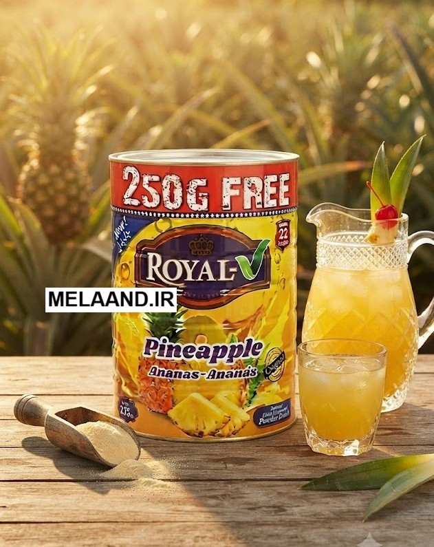 پودر شربت آناناس رویال مدل Pineappleوزن 2.75 کیلوگرم با 250 گرم هدیه