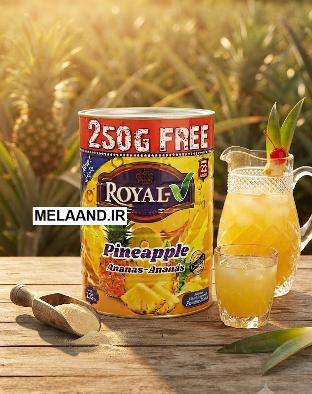 پودر شربت آناناس رویال مدل Pineapple وزن 2.75 کیلوگرم با 250 گرم هدیه